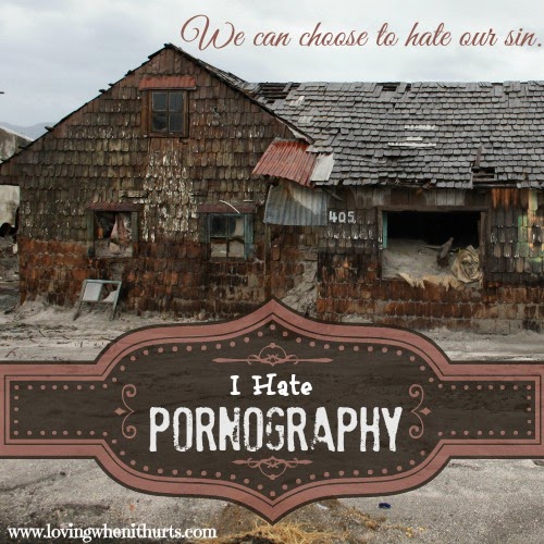 We Hate Porno